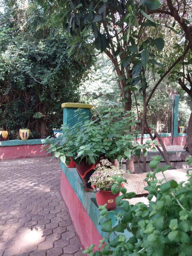 Green Garden Guest House Аруша Екстериор снимка