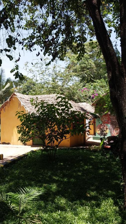 Green Garden Guest House Аруша Екстериор снимка